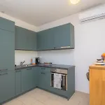 Apartment Fabijan *